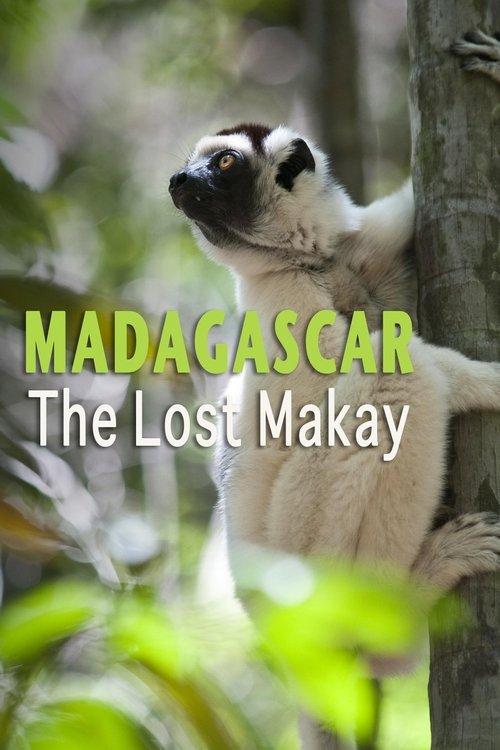 Madagascar: The Lost Makay 2011 official movie poster