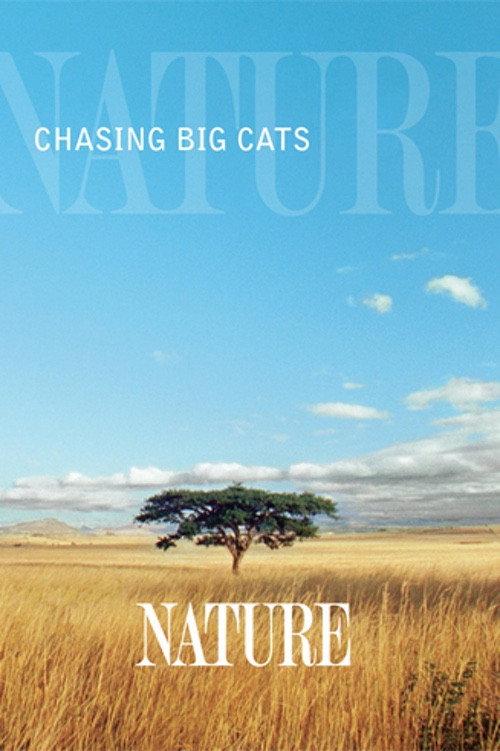 Chasing Big Cats 2004 official movie poster