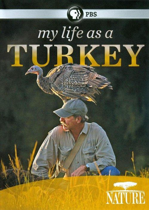 My Life as a Turkey 2011 official movie poster