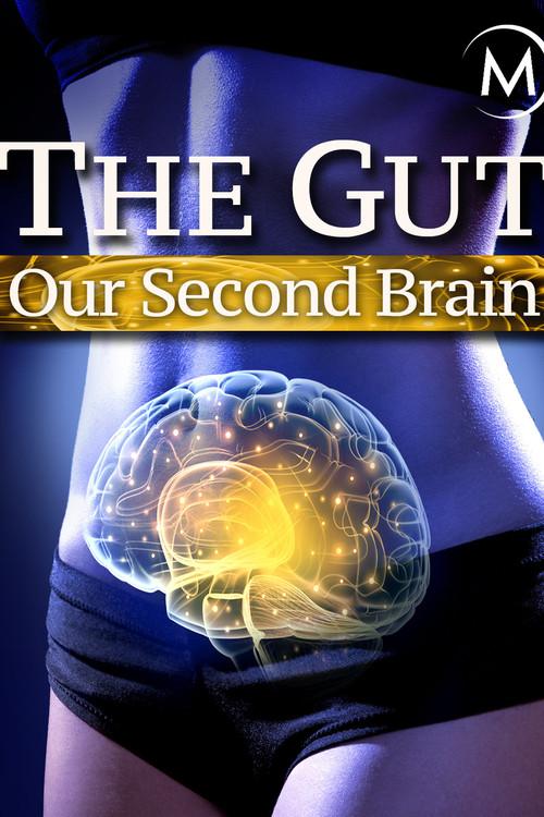 The Gut: Our Second Brain 2014 official movie poster