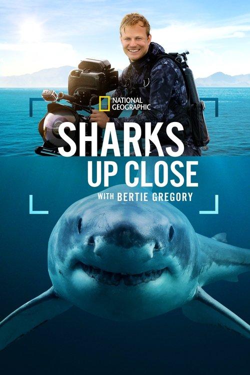 Sharks Up Close with Bertie Gregory 2025 official movie poster