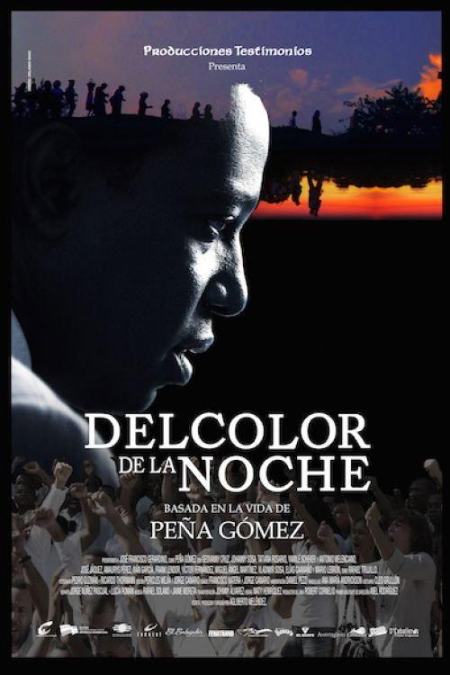 Del Color de la Noche 2015 official movie poster