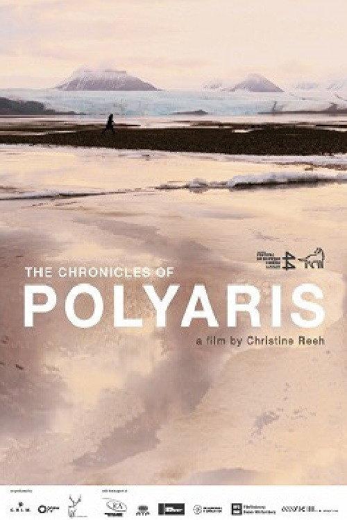 The Chronicles of Polyaris 2014 official movie poster