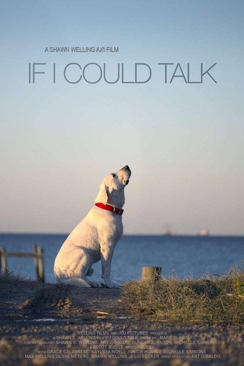 If I Could Talk 2015 official movie poster