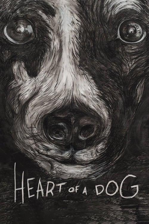 Heart of a Dog 2015 official movie poster