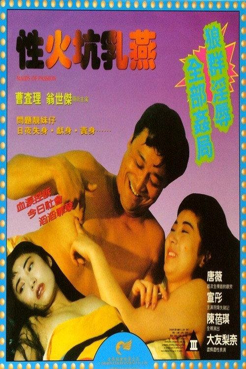 Maids of Passion 1995 official movie poster
