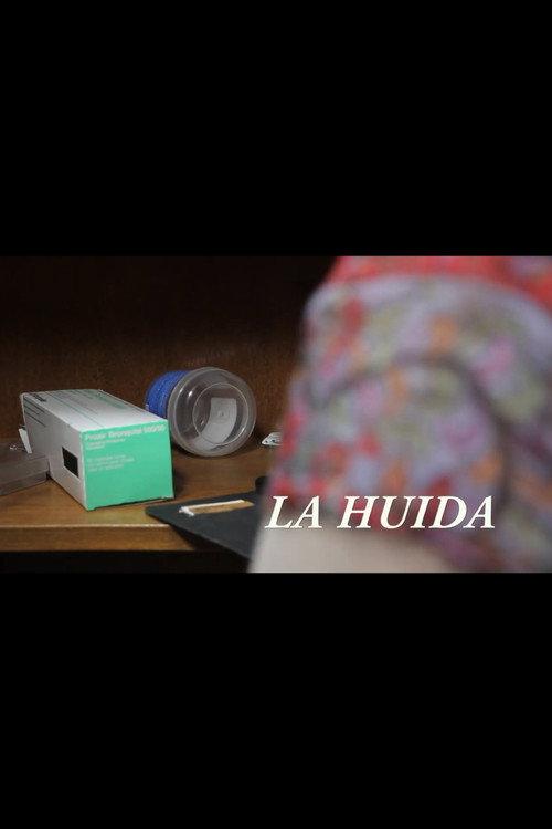 La huida 2017 official movie poster