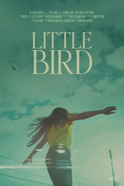 Little Bird 2024 official movie poster
