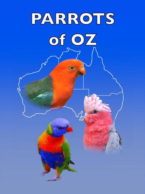 Parrots of Oz 2023 official movie poster