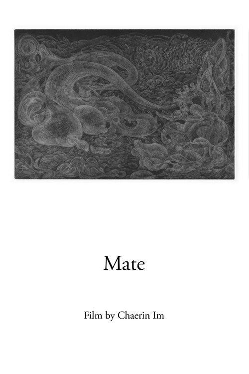 Mate 2019 official movie poster