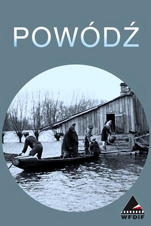 Storm in Poland 1947 official movie poster