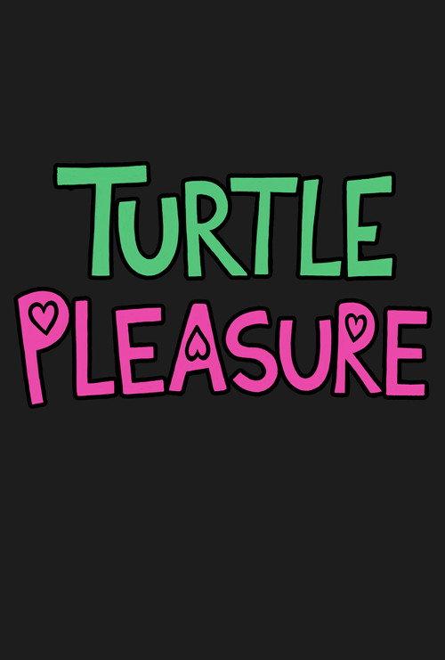Turtle Pleasure 2025 official movie poster