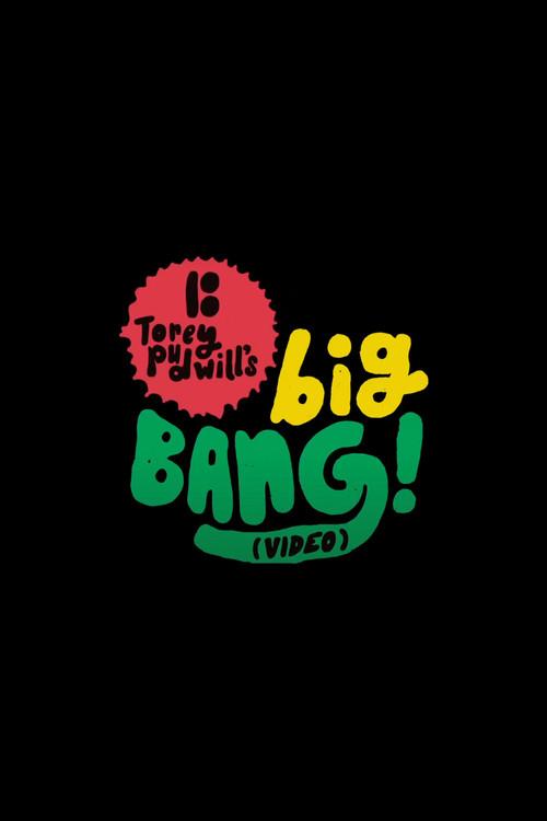 Torey Pudwill's Big Bang 2011 official movie poster