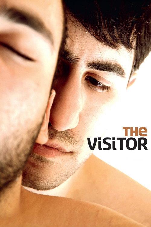 The Visitor 2011 official movie poster