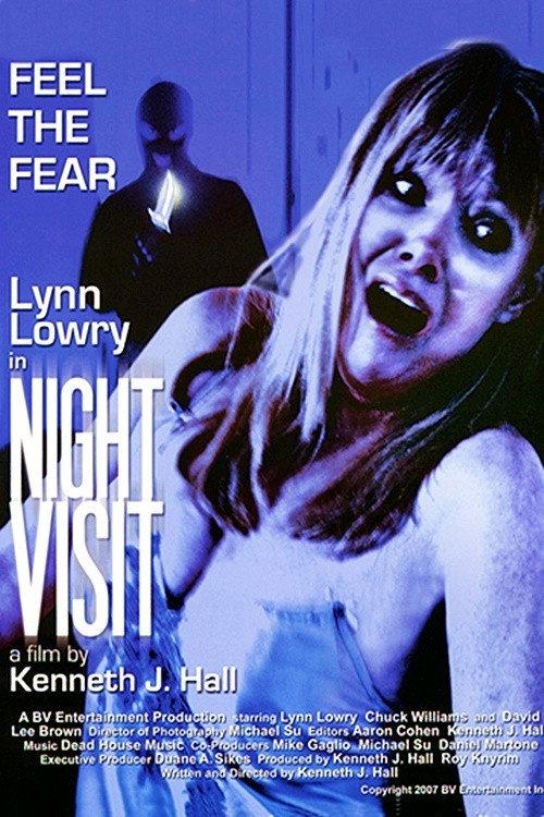 Night Visit 2007 official movie poster