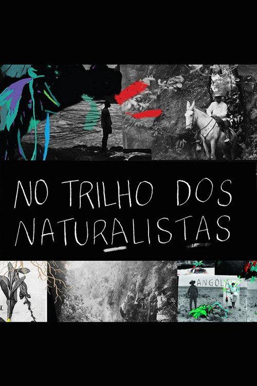 No Trilho dos Naturalistas: Angola 2016 official movie poster