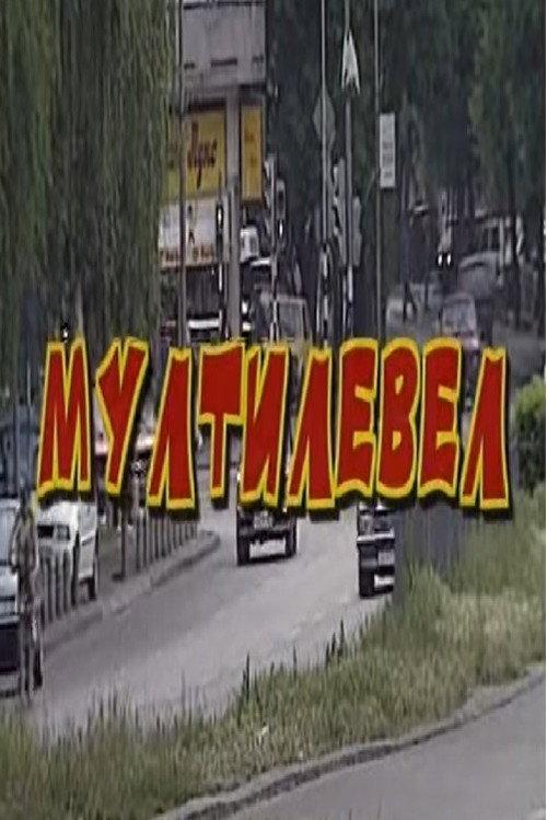 Multilevel 2000 official movie poster
