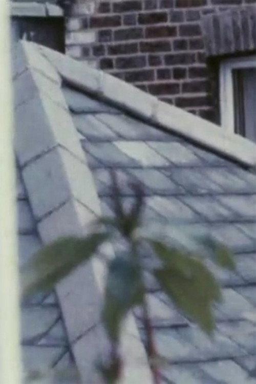 Focus I 1977 official movie poster