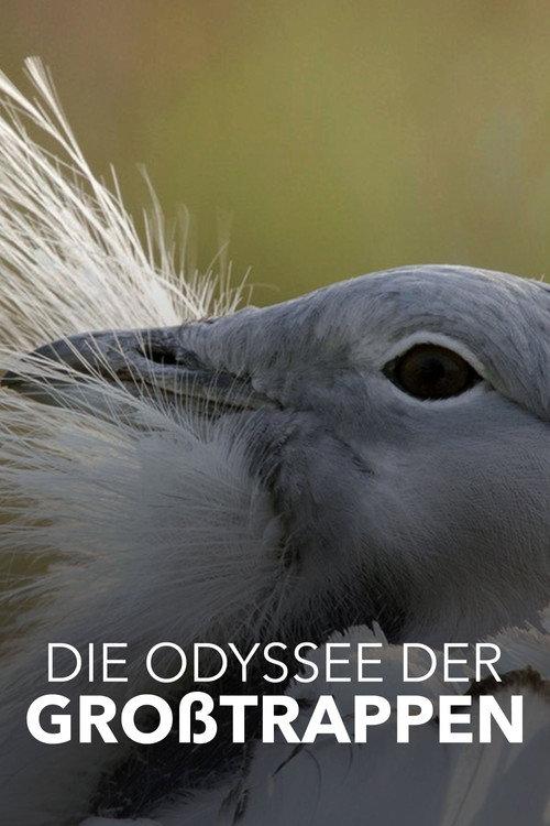 Glorious Bustards 2021 official movie poster
