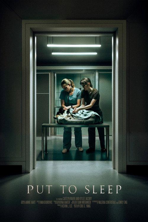 Put To Sleep 2024 official movie poster