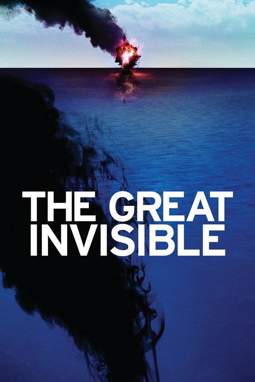 The Great Invisible 2014 official movie poster