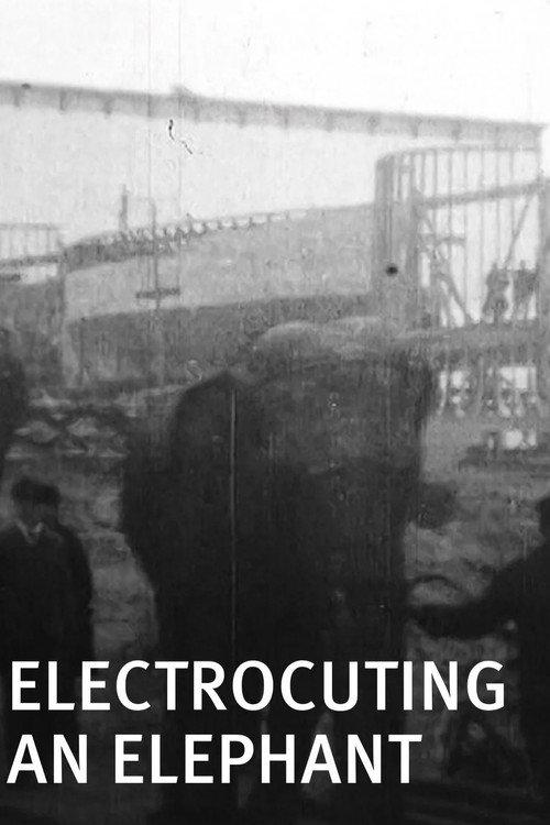 Electrocuting an Elephant 1903 official movie poster