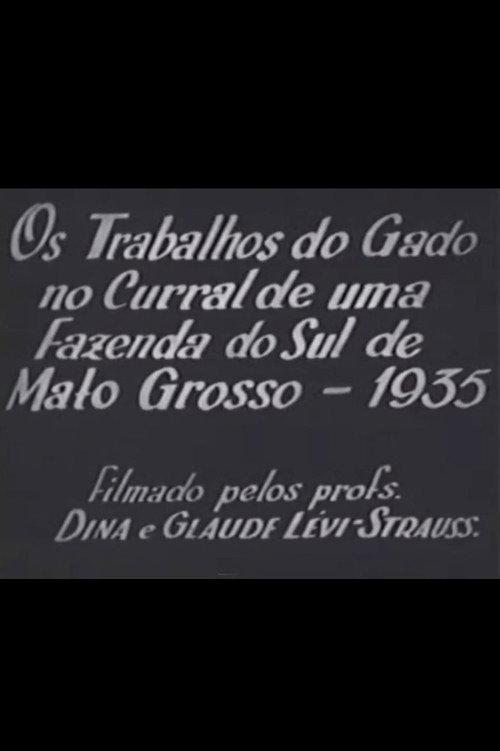 Cattle Work in the Corral of a Farm in Southern Mato Grosso 1935 official movie poster