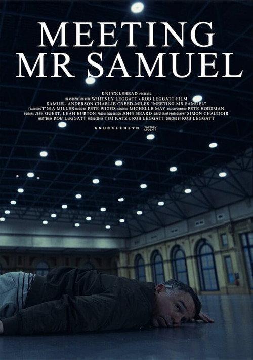 Meeting Mr Samuel 2023 official movie poster