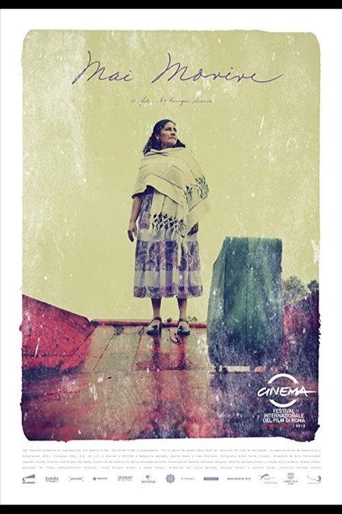 Never Die 2013 official movie poster