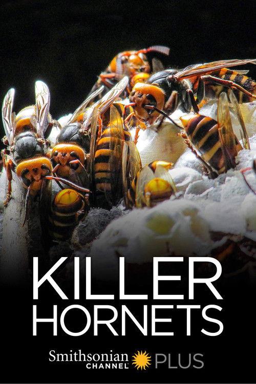 Killer Hornets 2016 official movie poster