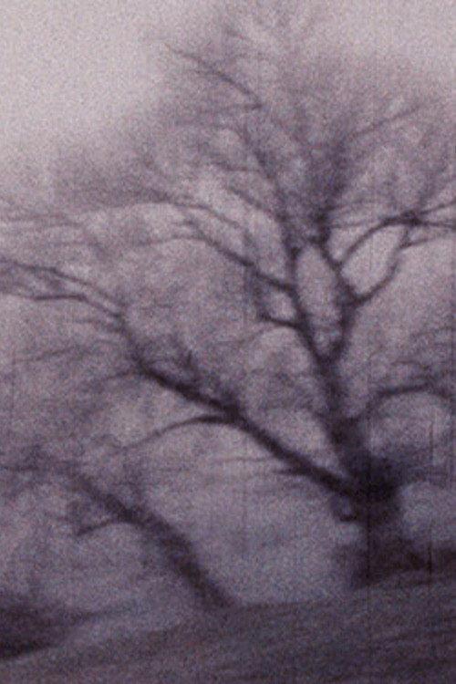 Travelogue 1976 official movie poster
