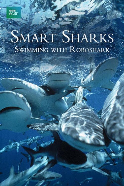 Smart Sharks: Swimming With Roboshark 2003 official movie poster