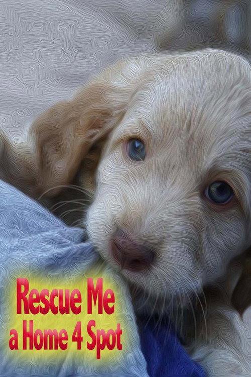 Rescue Me: A Home 4 Spot 2019 official movie poster