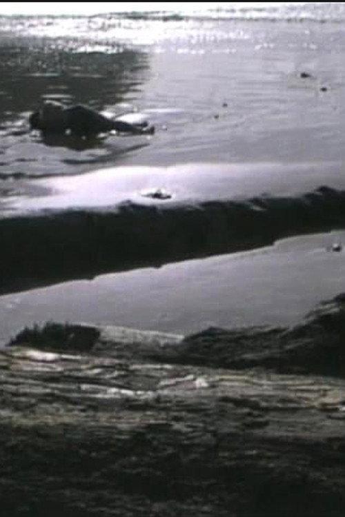 Incidence of Catastrophe 1988 official movie poster