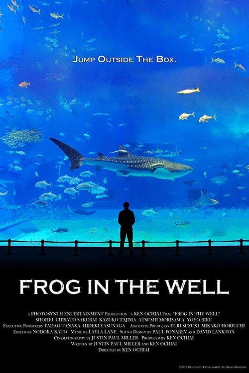 Frog in the Well 2010 official movie poster