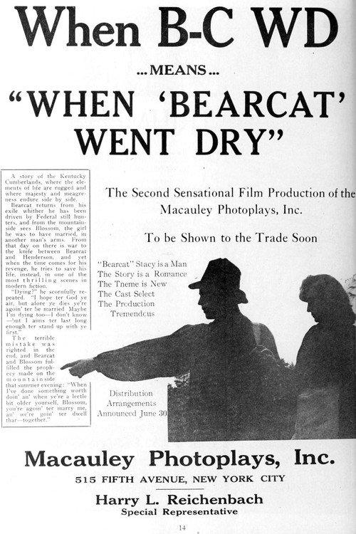 When Bearcat Went Dry 1919 official movie poster