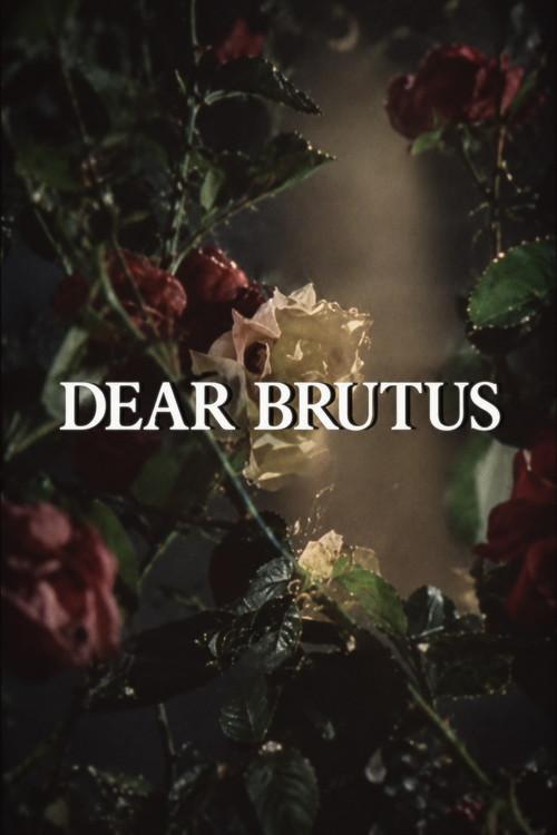 Dear Brutus 1981 official movie poster