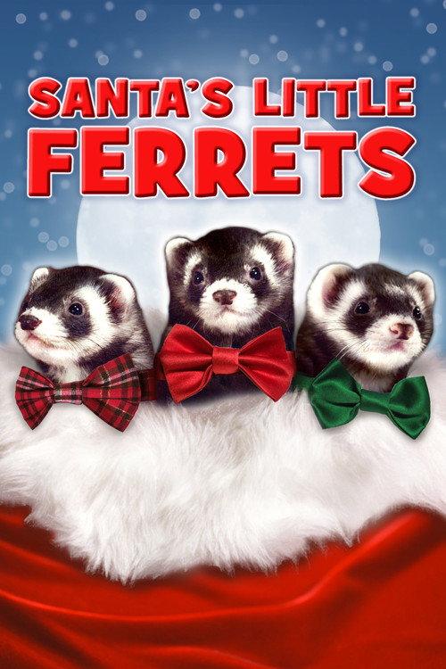 Santa's Little Ferrets 2014 official movie poster