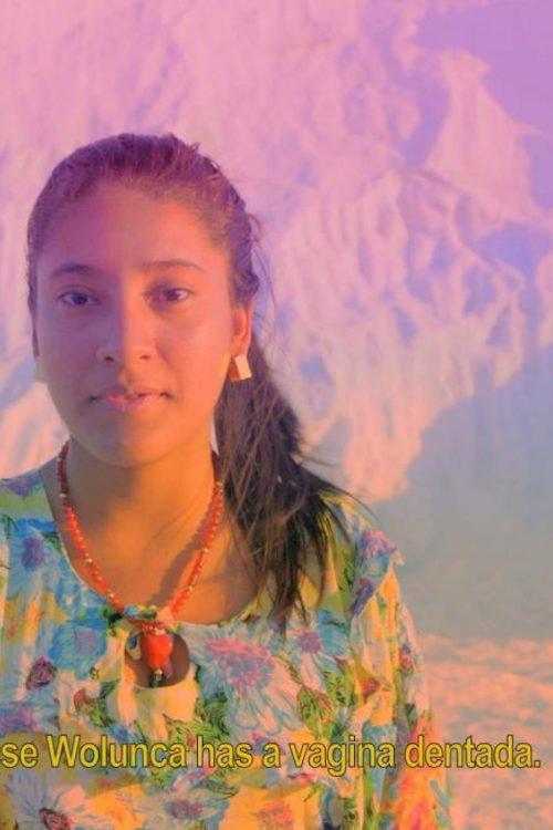 Wayuu Creation Myth 2017 official movie poster