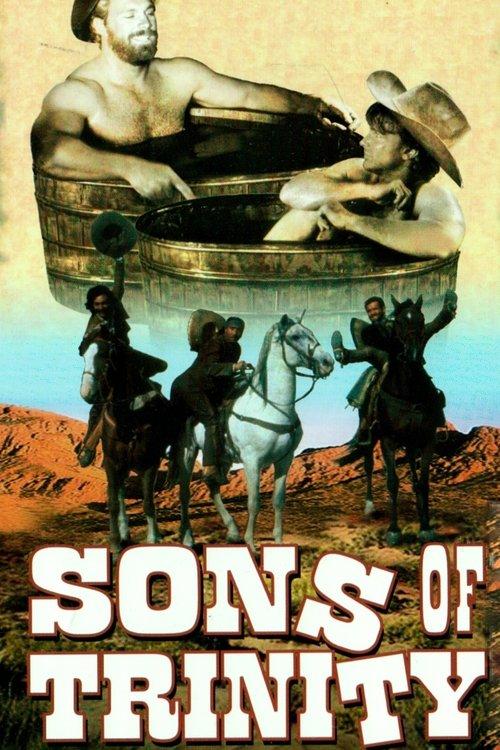 Sons of Trinity 1995 official movie poster