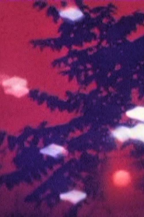 Meet The Forest Demon 1991 official movie poster