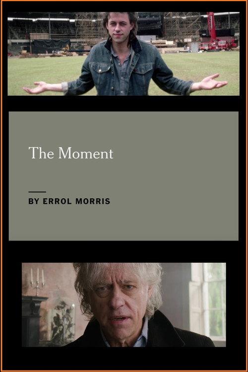 Bob Geldof: The Moment 2014 official movie poster