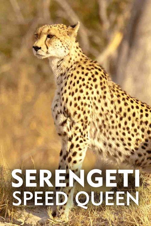 Serengeti Speed Queen 2020 official movie poster
