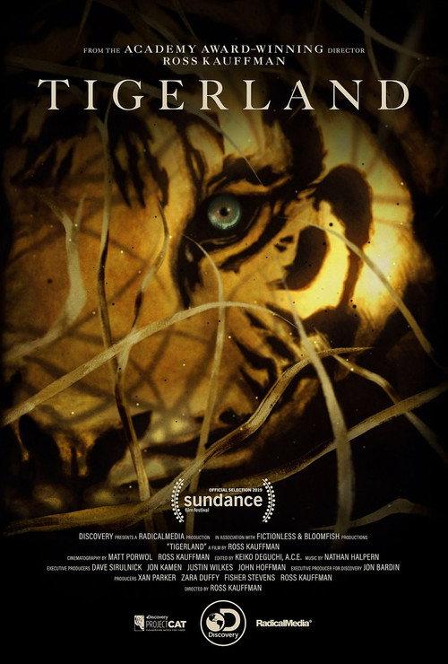 Tigerland 2019 official movie poster