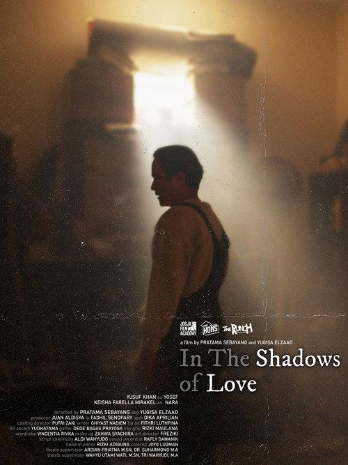 In The Shadows of Love 2024 official movie poster