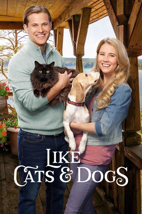Like Cats & Dogs 2017 official movie poster