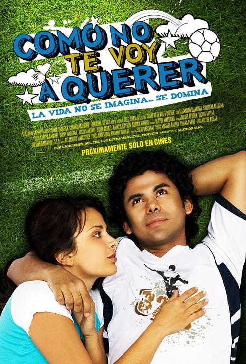 How Could I Not Love You? 2008 official movie poster