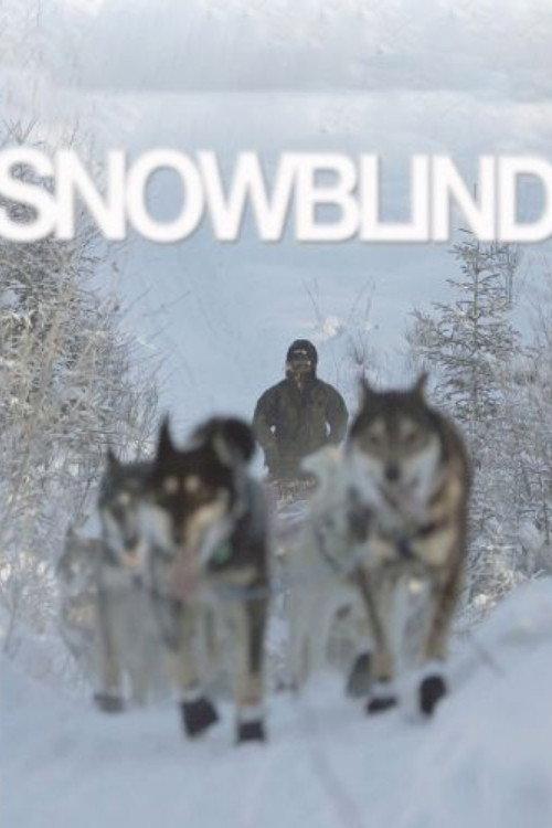 Snowblind 2009 official movie poster