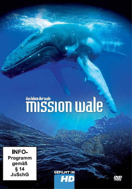 Mission Wale 2010 official movie poster