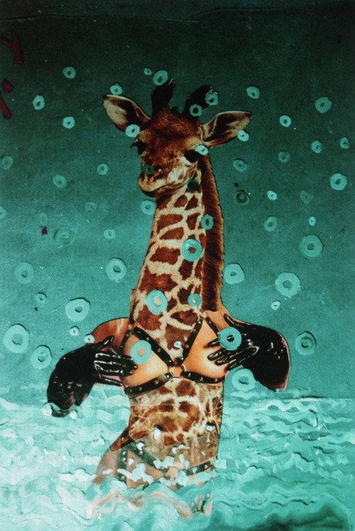 There's a Pervert in Our Pool! 1998 official movie poster